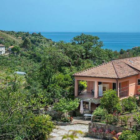 Il Melograno Bed & Breakfast ปอลลิกา ภายนอก รูปภาพ